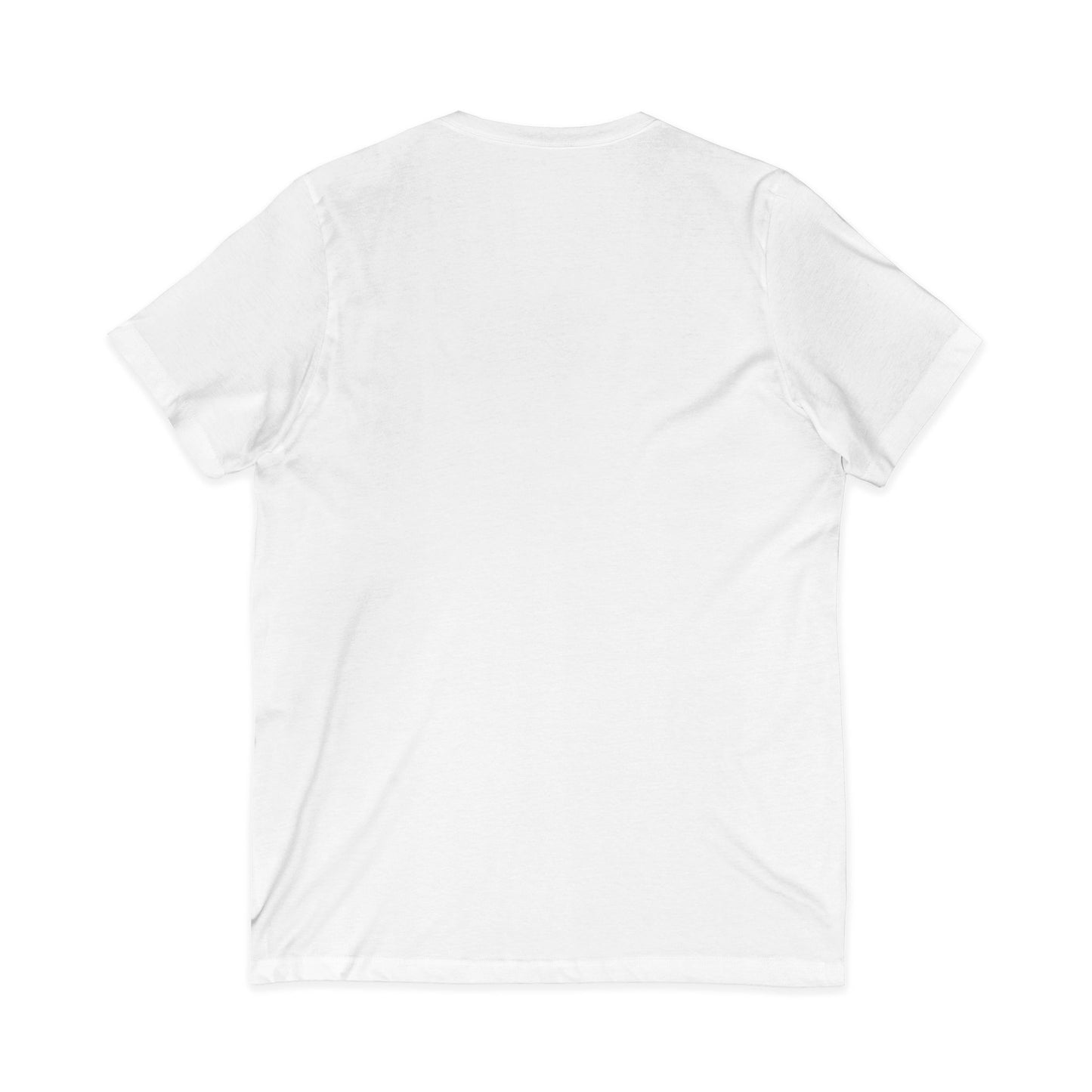 Women's Jersey V-Neck Tee