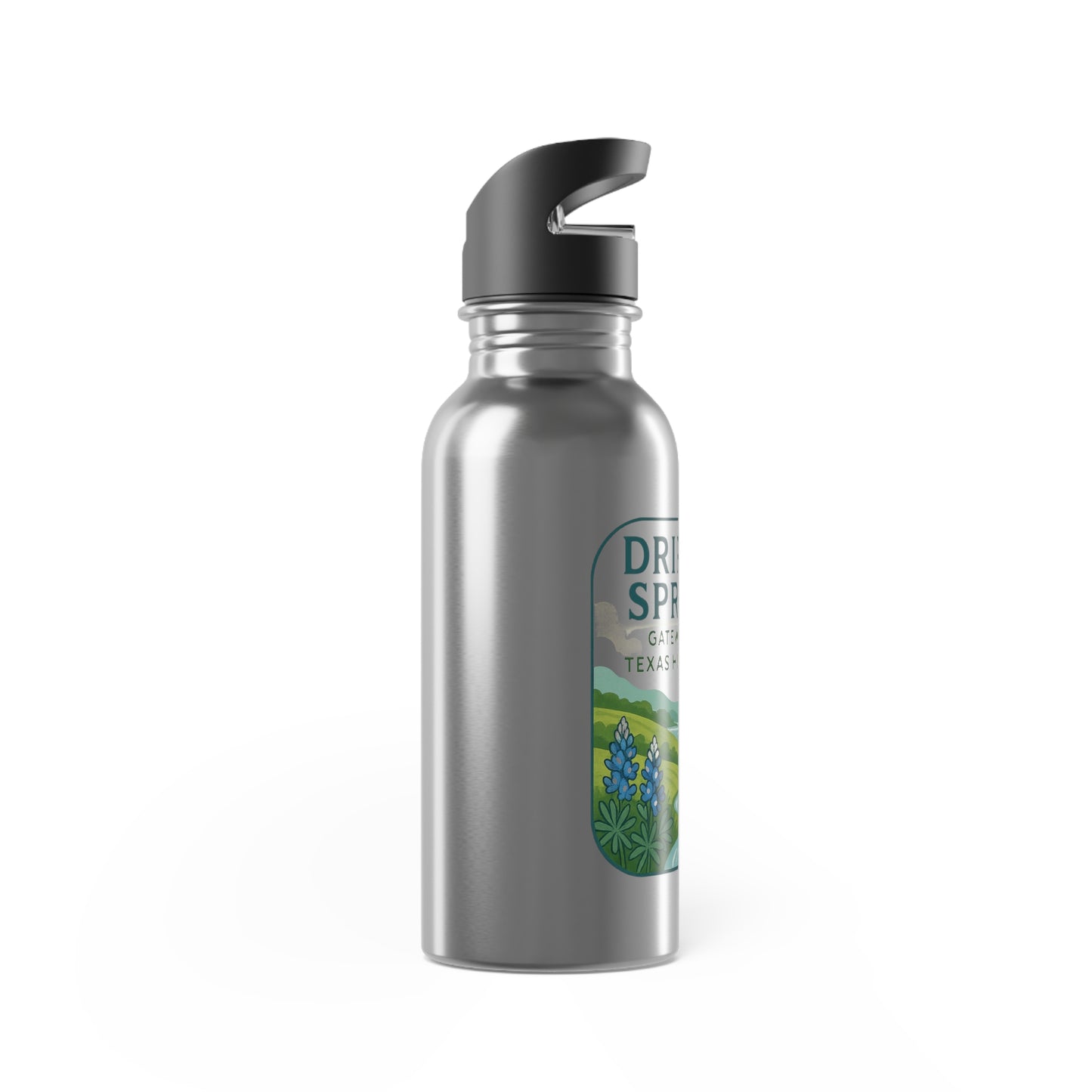 Dripping Springs Stainless Steel Water Bottle With Straw, 20oz