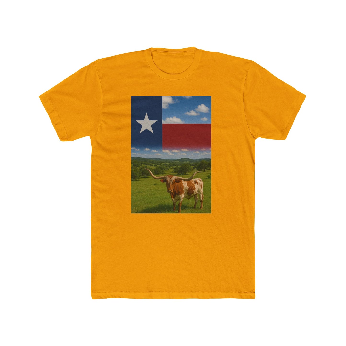 Texas Flag & Longhorn T-shirt