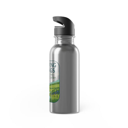 Dripping Springs Stainless Steel Water Bottle With Straw, 20oz