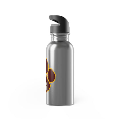 Stainless Steel Water Bottle With Straw, 20oz