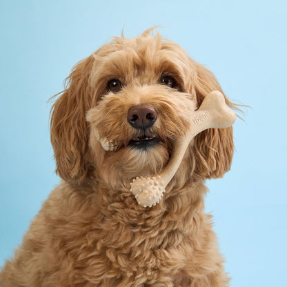 BetterBone SOFT Durability CHEW TOY: Natural Ingredients, Perfect for Teething Puppies, Senior Dogs & Gentle Chewers