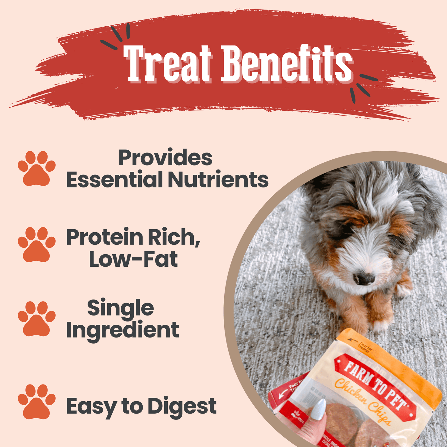 Puppy Packs 'n Snacks Dog Treat Starter Pack | Single-Ingredient Training Treats